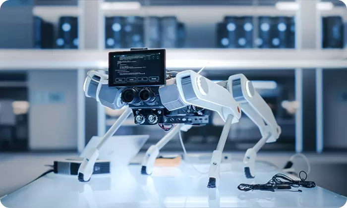 Vierbeiniger Roboter